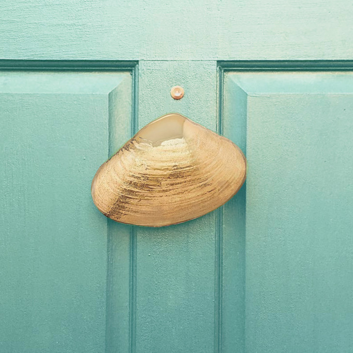 clam door knocker brass on teal door