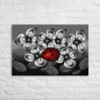 Candy Apple Red Lady Bug on Black and White Canvas