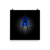 Black and Blue Spider Poster