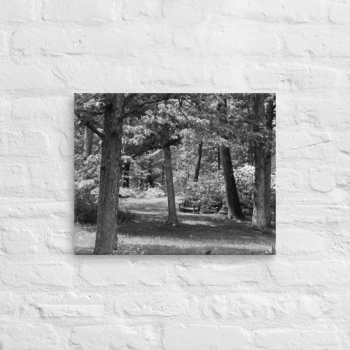 The Scenic Absence of Color Wall Art