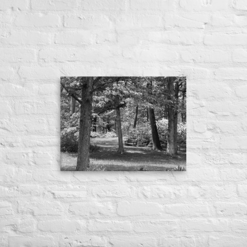 The Scenic Absence of Color Wall Art The Scenic Absence of Color Wall Art