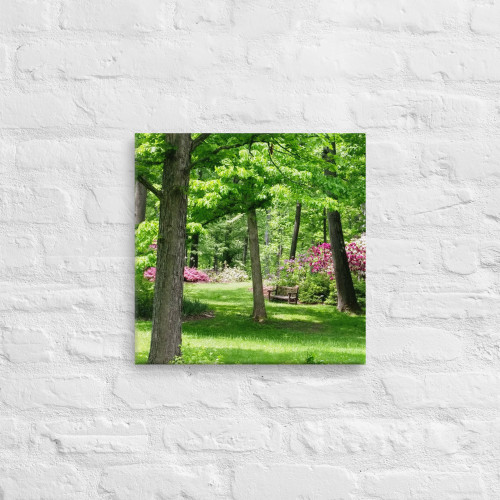 Scenic and Serene Wall Art Scenic and Serene Wall Art