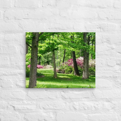 Scenic and Serene Wall Art Scenic and Serene Wall Art