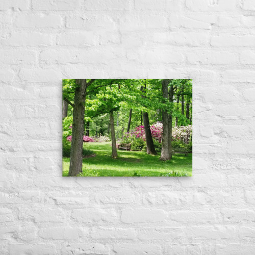 Scenic and Serene Wall Art