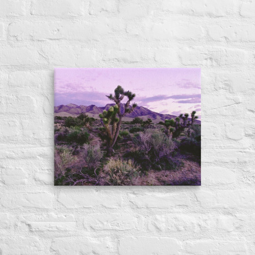 Purple Mountains Majesty Art Work Purple Mountains Majesty Art Work