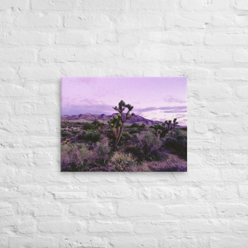 Purple Mountains Majesty Art Work Purple Mountains Majesty Art Work