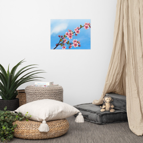 Cherry Blossom Sky Unique Poster - The Boulevard Joe Collection Cherry Blossom Sky Unique Poster - The Boulevard Joe Collection