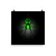 Green and Black Spider Poster