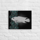 Viral Crystal Fish Wall Art