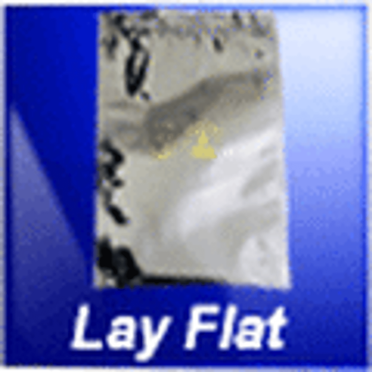 Lay Flat Metallic Static Bags