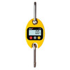  Gram CR Light Duty Crane Scale 