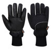  Portwest Apacha Cold Store Glove Black 