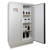 Ecosafe ECOSAFE Fire-proof safety cabinet 60 minutes tall 2 doors equipped 