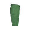 Dassy DASSY ZION Shorts Green 