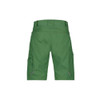 Dassy DASSY ZION Shorts Green 