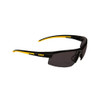  DeWalt DPG99 HDP Polarized  Protective Spectacles 