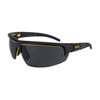 DeWalt DPG109 EU Architect Polarized Protective Eyewear
