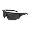  DeWalt DPG109 EU Architect Polarized Protective Eyewear 