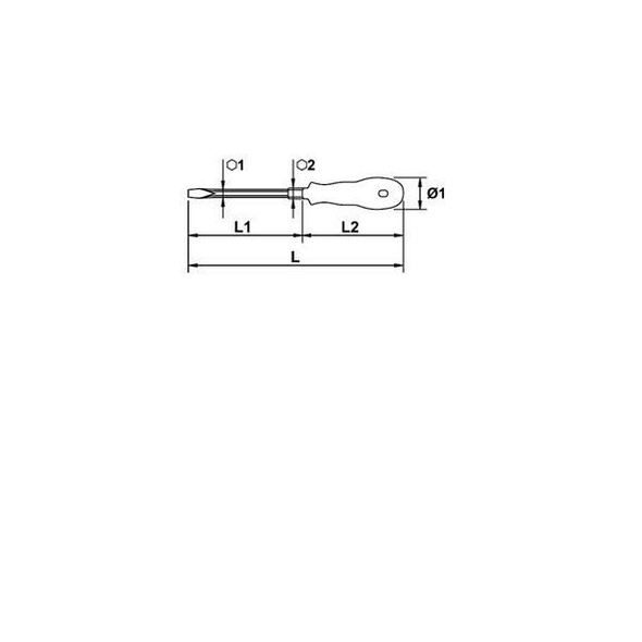  EGA Master Screwdriver Slotted Hexagonal Bar Mastertork EGA Antidrop ACO 