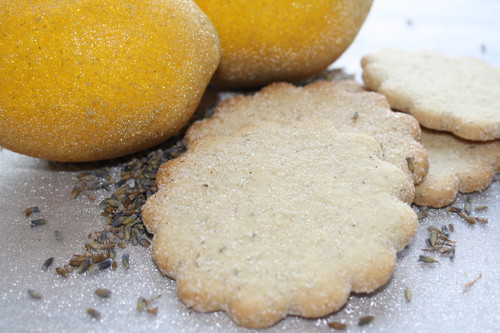 Lemon Lavender Biscochito