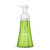 Foaming Hand Wash, Green Tea And Aloe, 10 Oz Pump Bottle