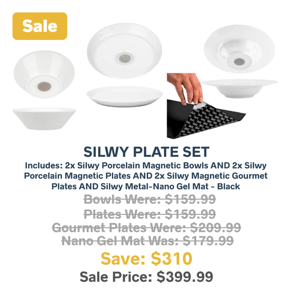 Silwy Porcelain Plate bundle set