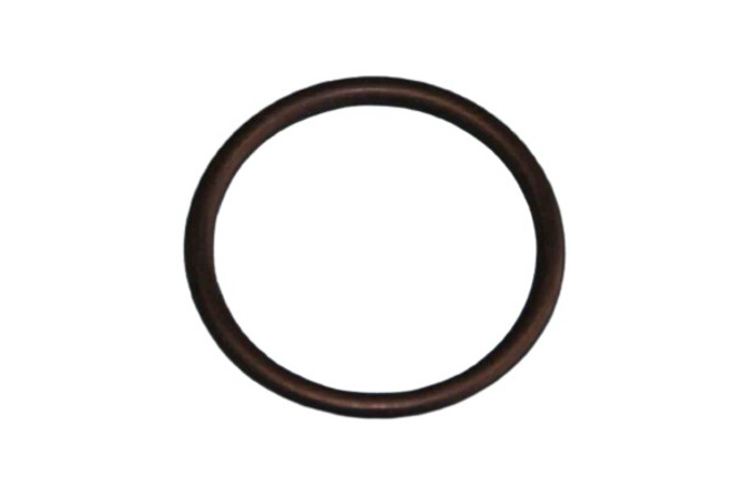 Henry/Suburban Water Heater O-Ring For 240V Element