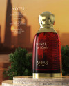 Sunset in Dubai Perfume – Anfar 1950 – Unisex EDP 100ml