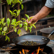 My Tea Journey Begins: Exploring the Art of Aging and Reroasting