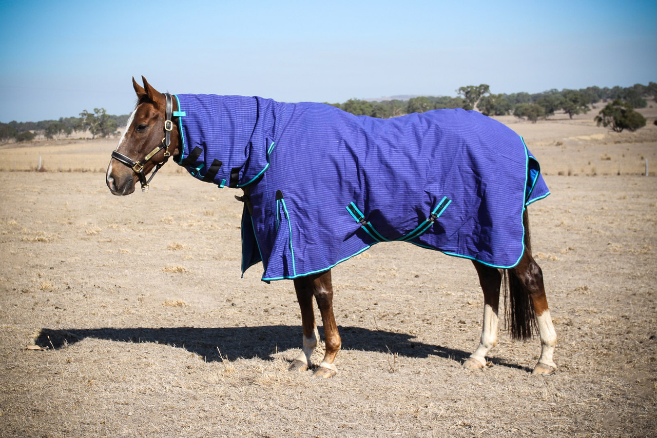 22.5oz Canvas Attached Neck Wool Lined Combo Horse Rug Unicorn