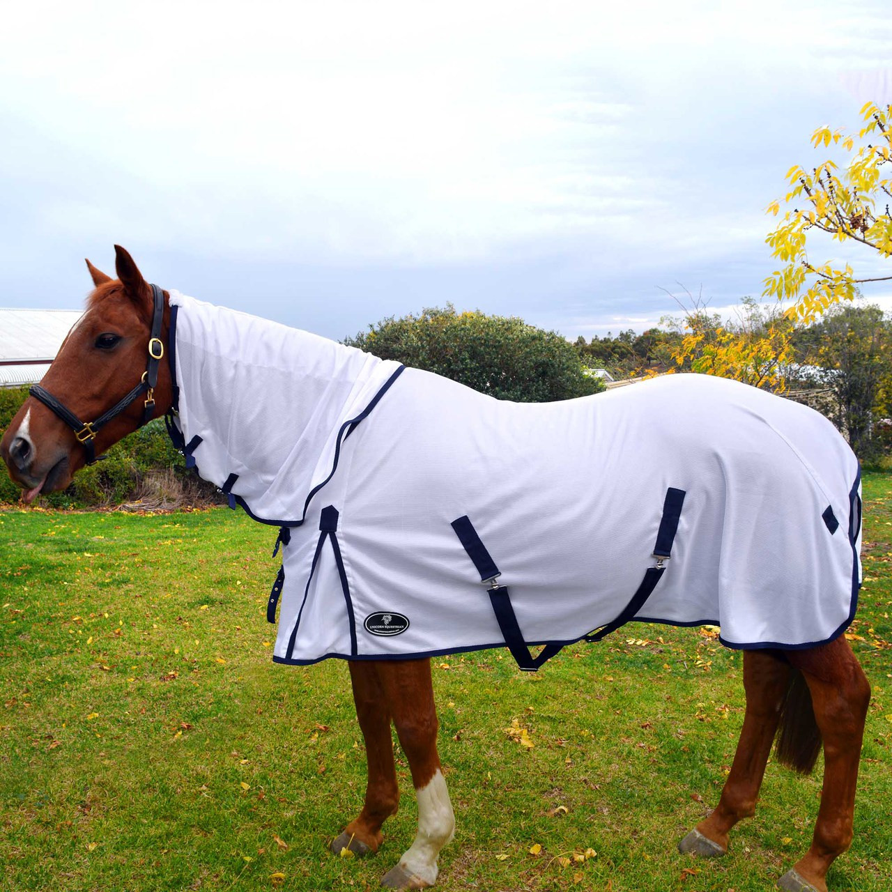 Fly Mesh 410Gsm Combo Horse Rug Unicorn Equestrain