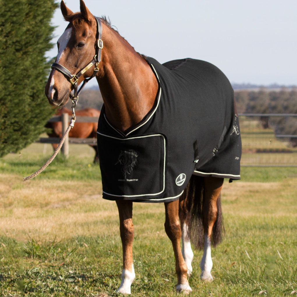 Anti Piling Embroidered Black Fleece Show Rug