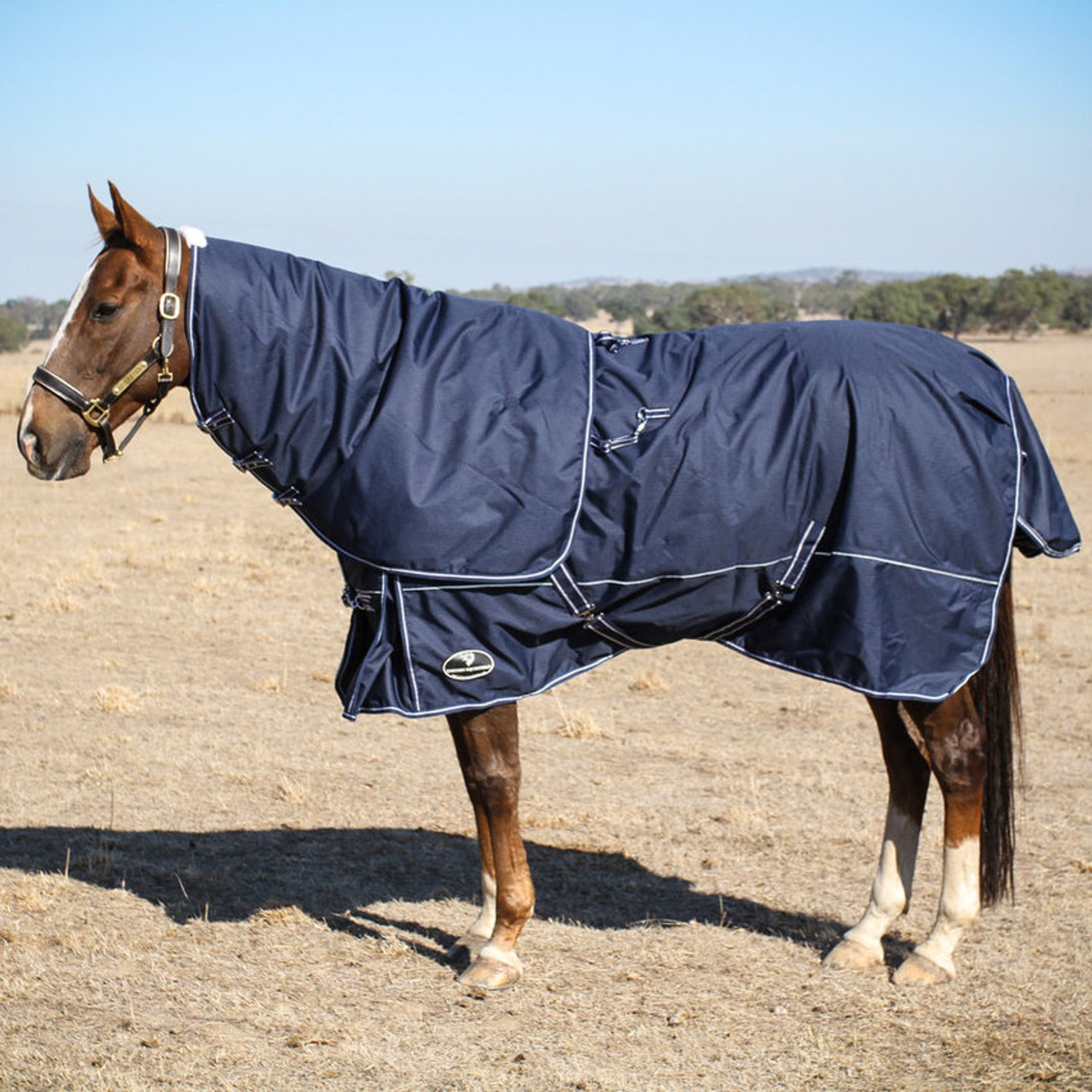 winter horse rug blanket navy
