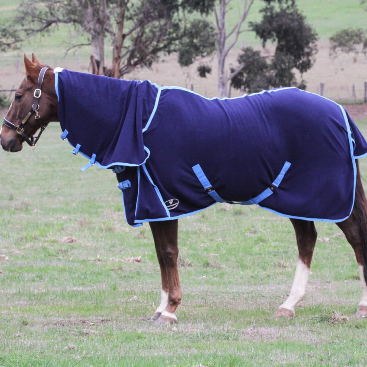 navy fleece combo horse rug