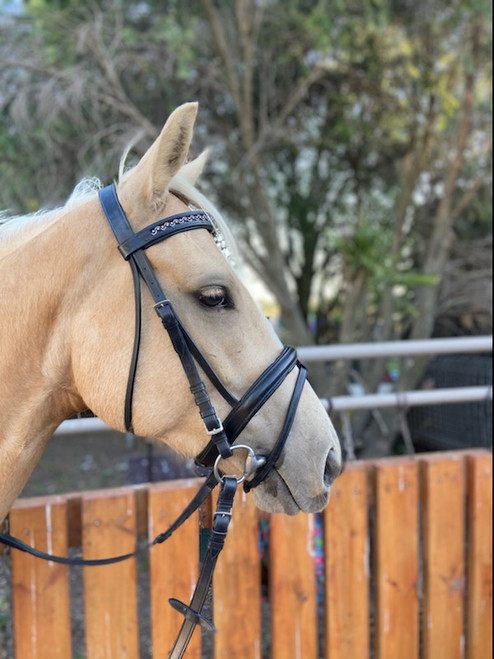 Bonzer Bridle Waymouth Style Black Leather and Swarovski With Reins