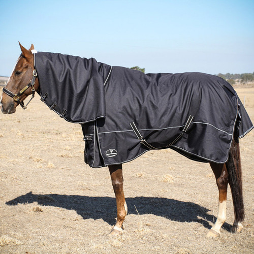 Winter 2024 horse rugs