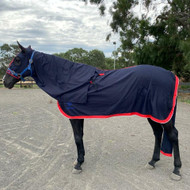 Cotton Rug with Tail Bag