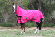 Sturdy Pink Winter Rug 2023