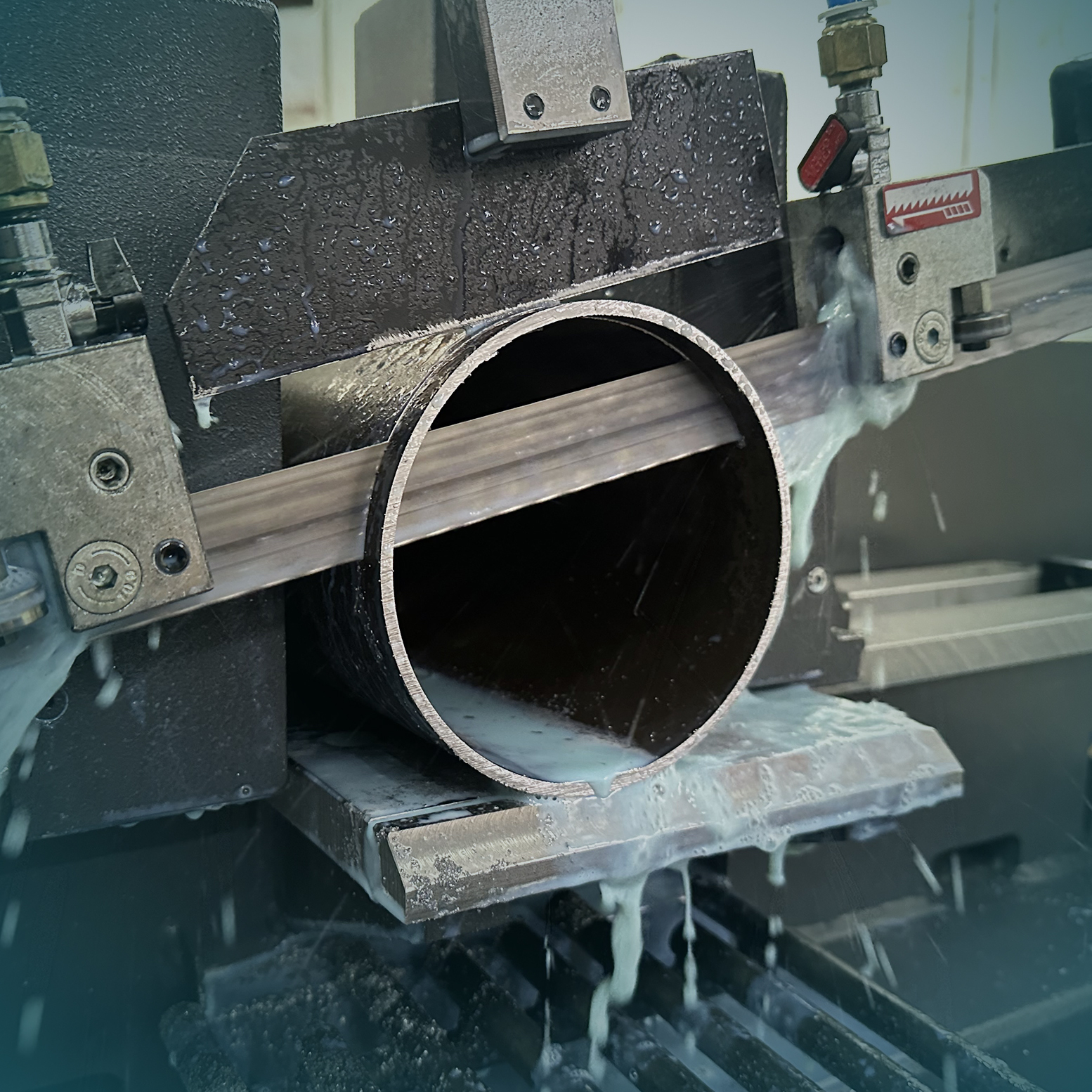 in-house-ring-cut.jpg