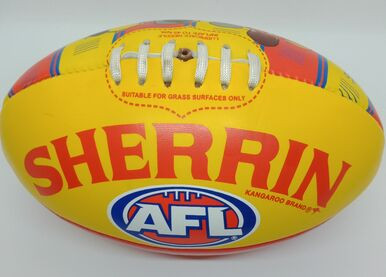 Sherrin SUNS Song Ball