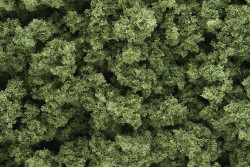 Woodland Scenics FC145 Bushes Light Green - Bag