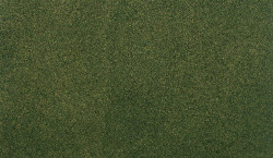 Woodland Scenics RG5123 ReadyGrass Mat - Forest Grass - Large Roll 50 x 100 inches - 1 Roll