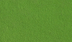 Woodland Scenics T1345 Fine Turf - Shaker - Green Grass