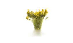 Woodland Scenics FS776 Peel N Place Tufts - Prairie Grass Light Green 20 pcs