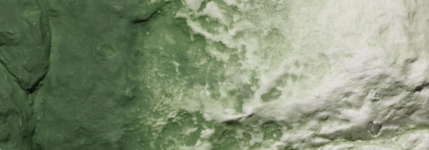 Woodland Scenics C1228 Green Color Undercoat - 8oz