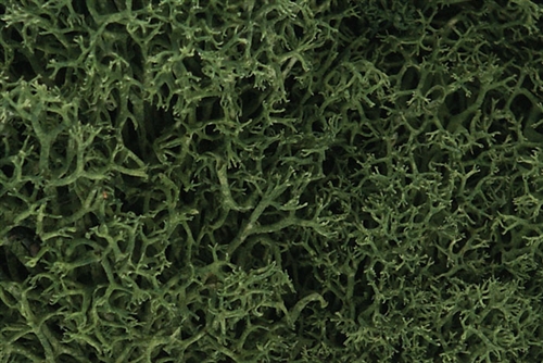Woodland Scenics L163 Lichen Bag -  Medium Green