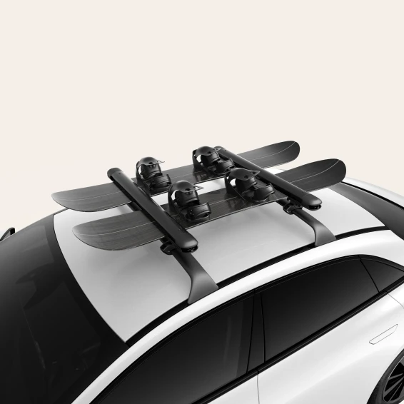 Ski & Snowboard Mount