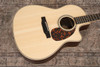 Larrivee LV-03RE - Rosewood Back and Sides w/ Element Bronze Pickup