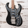 Burns / Baldwin Bison - 1966 (Used)