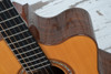 Manzer Baritone Acoustic (used)